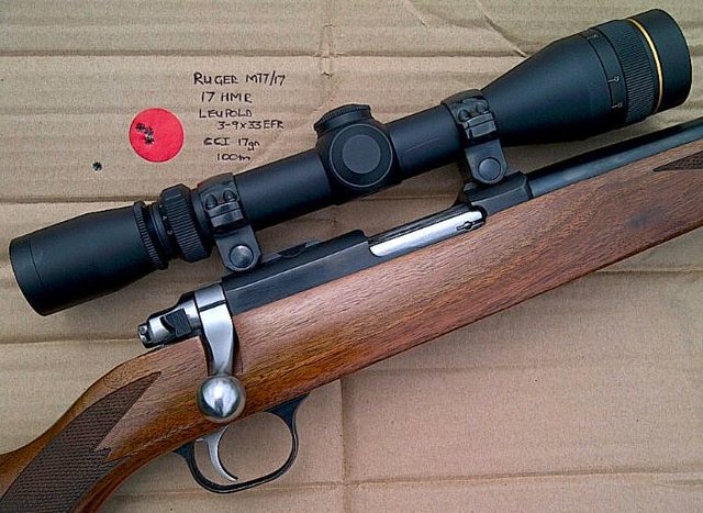 Ruger 17hmr & 3-9x33 EFR 17gn group.JPG