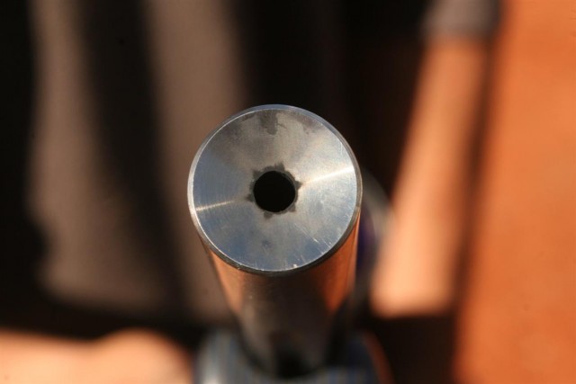 22 Muzzle (Medium).JPG