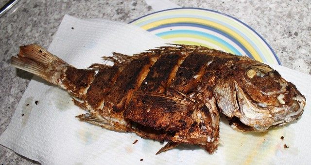 Fried Snapper.jpg