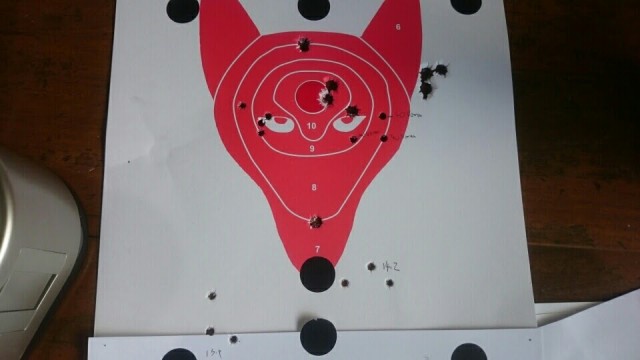 fox target 100yds 250317.jpg