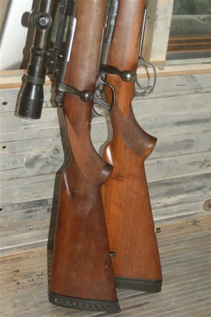 250 Myra rifle (8) (Medium).JPG