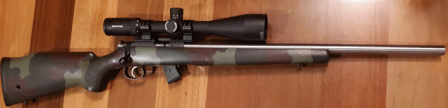 GIF cz 453 mcmillian varmint.gif