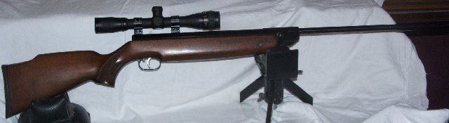 Air rifles 005.JPG