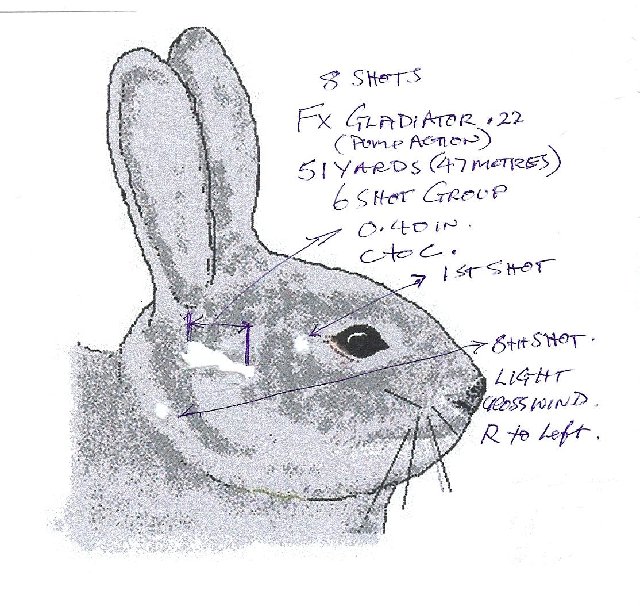 rabbit head target.JPG