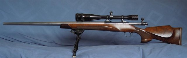 1st gun pics 016 (Large).jpg