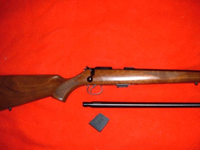 cz455 003.JPG